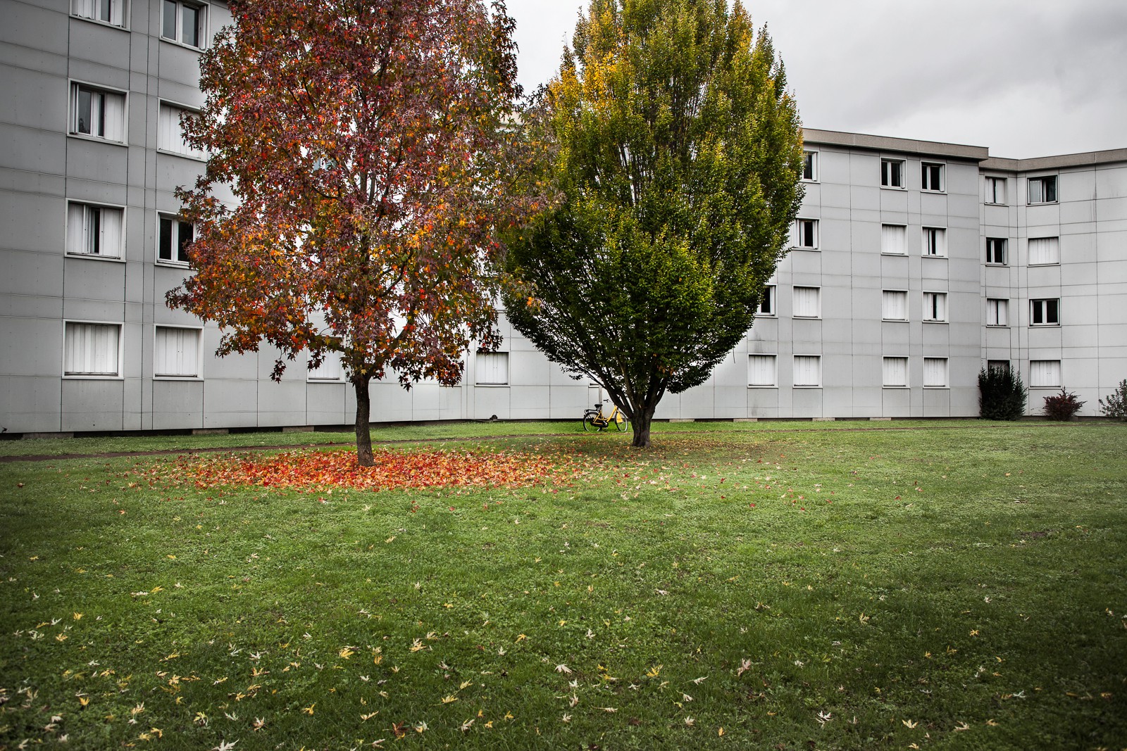 Automne