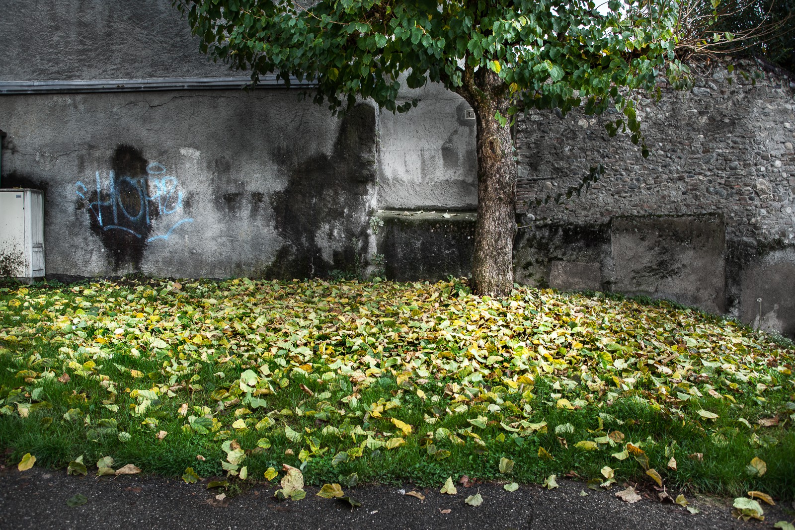 Automne